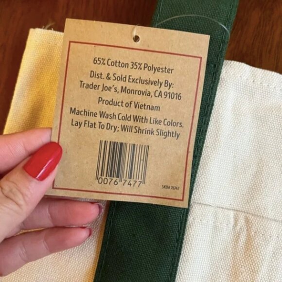 New With Tags! Trader Joe's Mini Canvas Tote Bag in Green - Picture 2 of 4